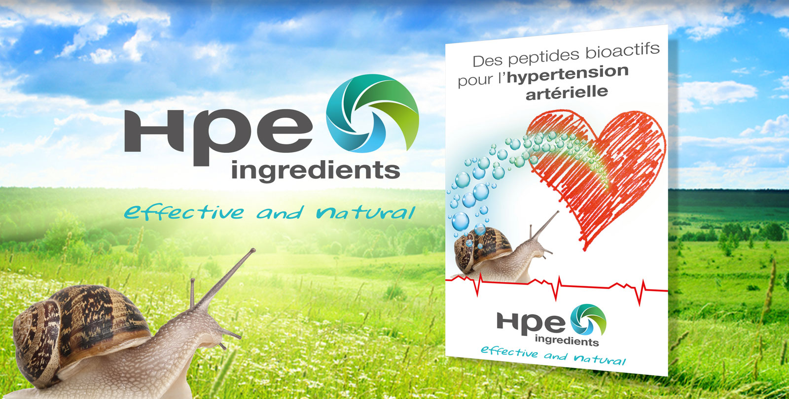 HPE – Ingredients