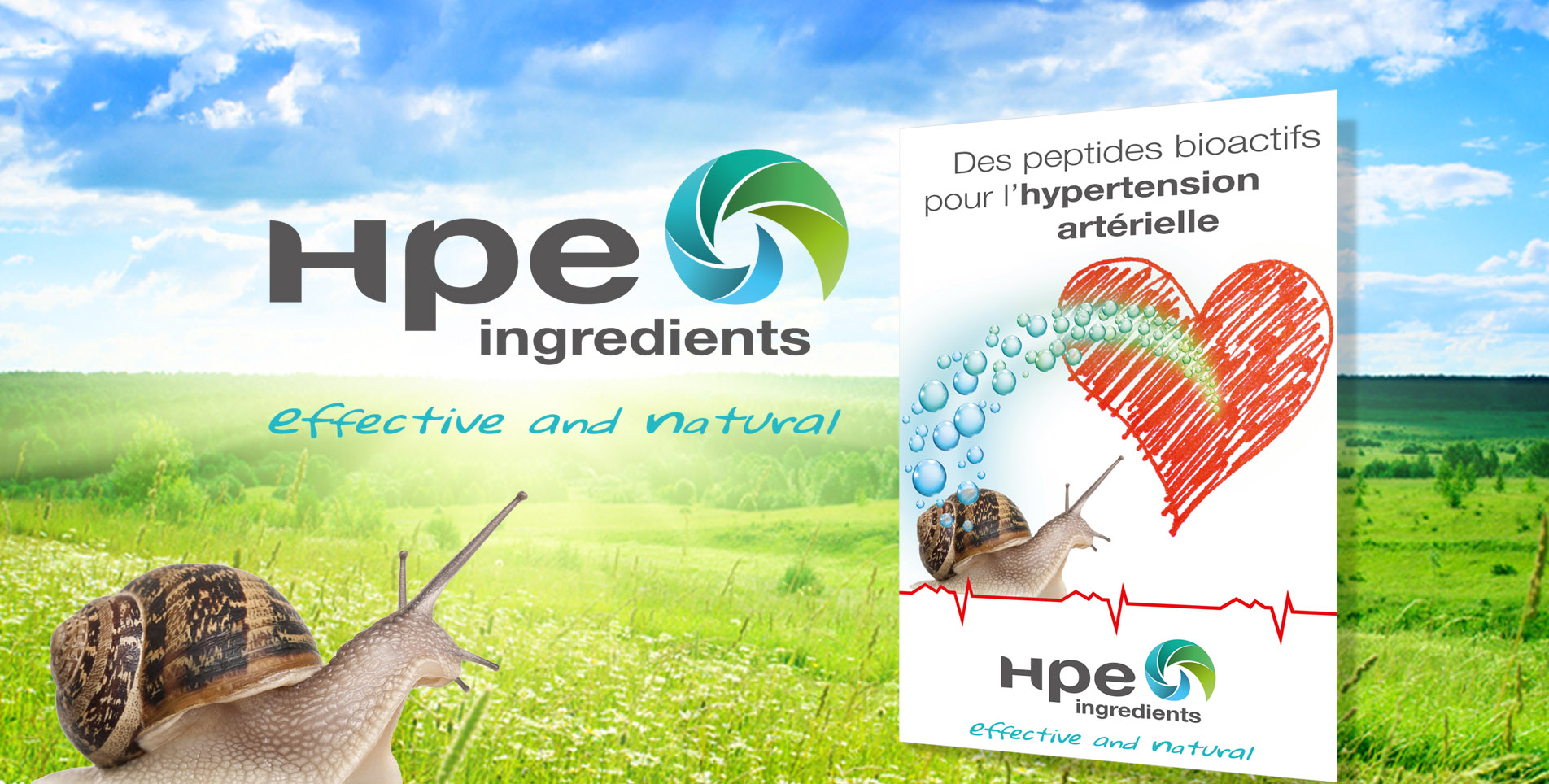 HPE – ingredients à base d’escargots
